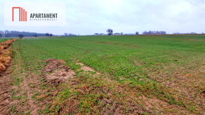 Duża działka blisko jeziora z warunkami zabudowy - Świekatowo  -
Kujawsko-Pomorskie Zdjęcie nr 3