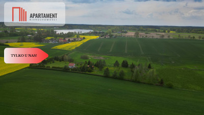 działka z warunkami zabudowy 14 ha - Koniecwałd  -
Pomorskie Zdjęcie nr 5