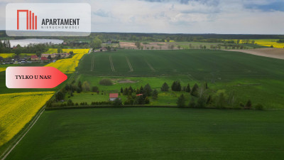 działka z warunkami zabudowy 14 ha - Koniecwałd  -
Pomorskie Zdjęcie nr 6