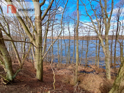 Działka budowlana z widokiem na jezioro - Chrztowo  -
Pomorskie Zdjęcie nr 6