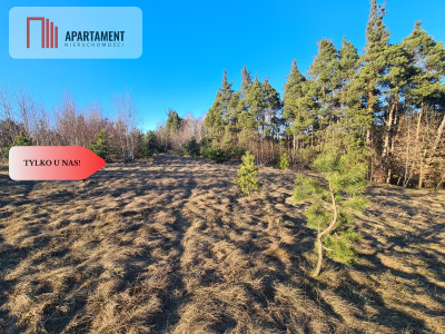 Przedsprzedaż Działka budowlana w Stężycy - Stężyca  - Pomorskie