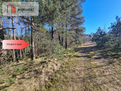 Przedsprzedaż Działka budowlana w Stężycy - Stężyca  -
Pomorskie Zdjęcie nr 4