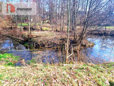 Urokliwa działka z linią brzegową rzeki Prusiny - Małe Krówno  -
Pomorskie Zdjęcie nr 13