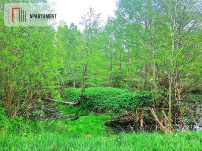 Urokliwa działka z linią brzegową rzeki Prusiny - Małe Krówno  -
Pomorskie Zdjęcie nr 6