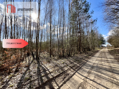 dwie działki po 1522m2 NAD JEZIOREM - Szczodrowo  -
Pomorskie Zdjęcie nr 10