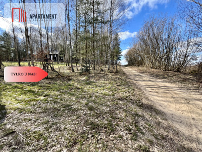 dwie działki po 1522m2 NAD JEZIOREM - Szczodrowo  -
Pomorskie Zdjęcie nr 2