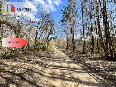 dwie działki po 1522m2 NAD JEZIOREM - Szczodrowo  -
Pomorskie Zdjęcie nr 9