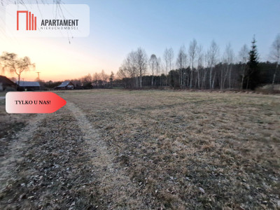 Spokojna okolica blisko lasu - Kwieki  -
Pomorskie Zdjęcie nr 2