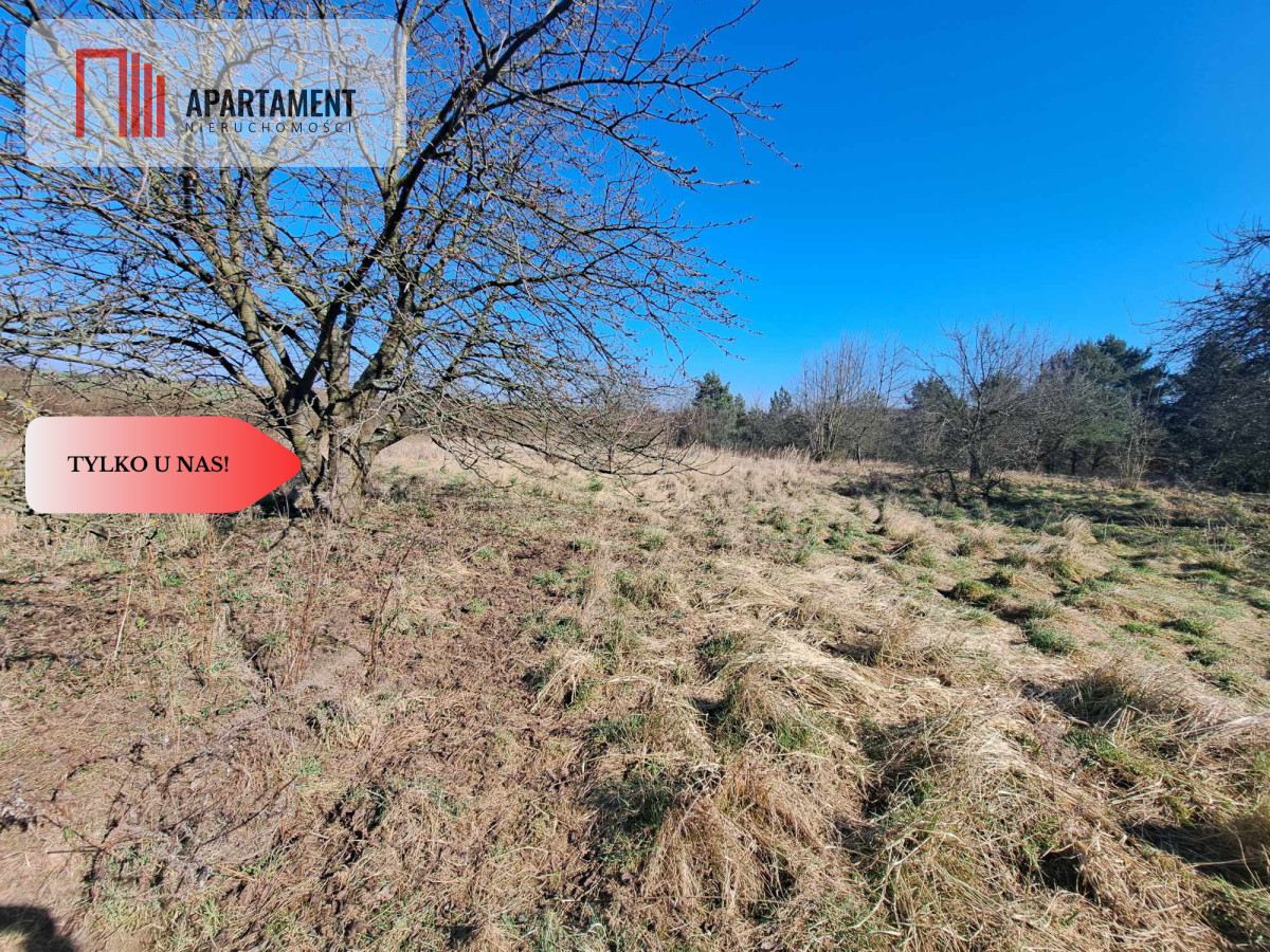 Działka budowlanampzpLubiąż - Lubiąż  -
Dolnośląskie Zdjęcie nr 1