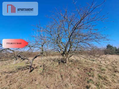 Działka budowlanampzpLubiąż - Lubiąż  -
Dolnośląskie Zdjęcie nr 3