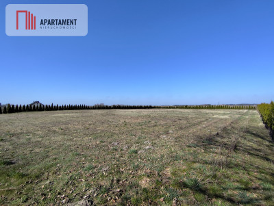 Działka z dużym potencjałem Warunki zabudowy - Wiśniewa  -
Kujawsko-Pomorskie Zdjęcie nr 5