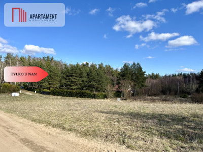 działki budowlana nad jeziorem blisko trójmiasta - Bożepole Królewskie  -
Pomorskie Zdjęcie nr 2