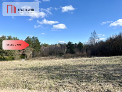 działki budowlana nad jeziorem blisko trójmiasta - Bożepole Królewskie  -
Pomorskie Zdjęcie nr 3