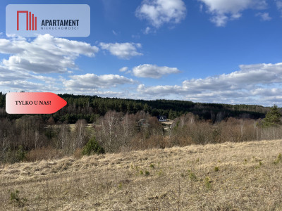 Siedlisko z WZ blisko trójmiasta - Wilcze Góry  -
Pomorskie Zdjęcie nr 10