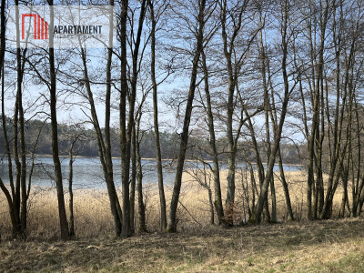 Dołgie jezioro las media DZIAŁKI - Dołgie  -
Zachodniopomorskie Zdjęcie nr 10