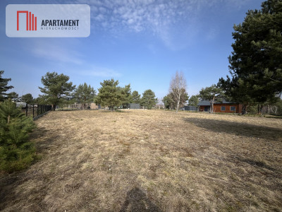 Dołgie jezioro las media DZIAŁKI - Dołgie  -
Zachodniopomorskie Zdjęcie nr 13