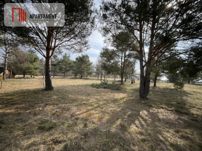 Dołgie jezioro las media DZIAŁKI - Dołgie  -
Zachodniopomorskie Zdjęcie nr 14