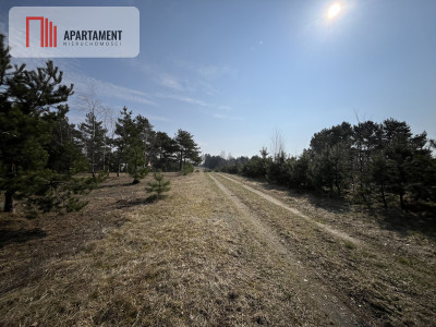 Dołgie jezioro las media DZIAŁKI - Dołgie  -
Zachodniopomorskie Zdjęcie nr 2