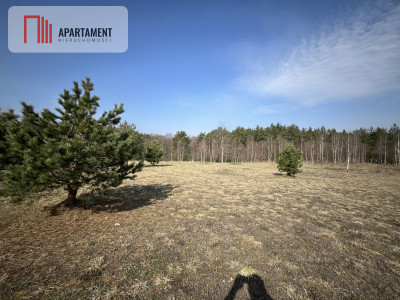 Dołgie jezioro las media DZIAŁKI - Dołgie  -
Zachodniopomorskie Zdjęcie nr 4