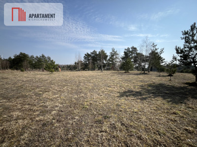 Dołgie jezioro las media DZIAŁKI - Dołgie  -
Zachodniopomorskie Zdjęcie nr 5