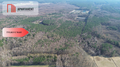 Działka budowlana  8700m2 WDA - Wda  -
Pomorskie Zdjęcie nr 6