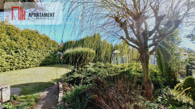 Piękna działka ROD Borówka Niedaleko jeziora - Nekla  -
Kujawsko-Pomorskie Zdjęcie nr 11