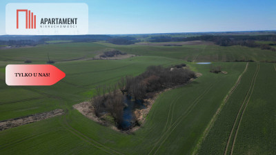 siedlisko koło Gniewu nowa cena - Gniew  -
Pomorskie Zdjęcie nr 2