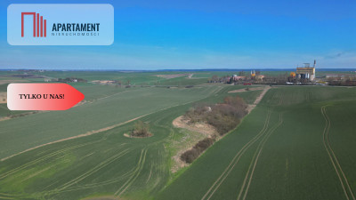 siedlisko koło Gniewu nowa cena - Gniew  -
Pomorskie Zdjęcie nr 6