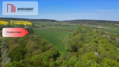 działka z pozwoleniem na budowę - Opalenie  -
Pomorskie Zdjęcie nr 3