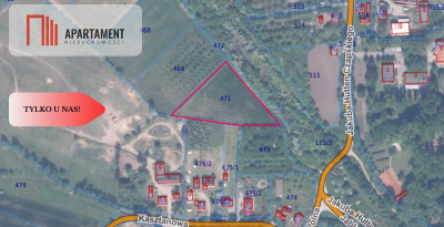 działka z pozwoleniem na budowę - Opalenie  -
Pomorskie Zdjęcie nr 4