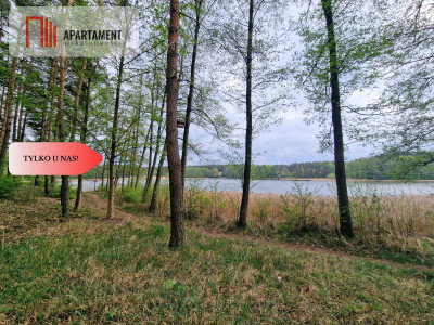 Działki z linią brzegową jeziora pod Toruniem - Osiek Nad Wisłą  -
Kujawsko-Pomorskie Zdjęcie nr 6