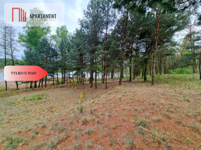 Działki z linią brzegową jeziora pod Toruniem - Osiek Nad Wisłą  -
Kujawsko-Pomorskie Zdjęcie nr 8