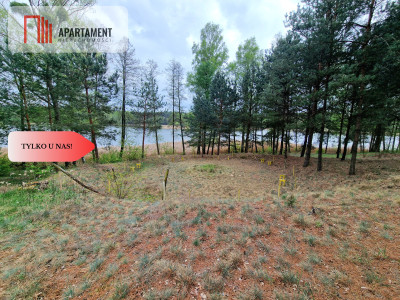 Działki z linią brzegową jeziora pod Toruniem - Osiek Nad Wisłą  -
Kujawsko-Pomorskie Zdjęcie nr 9