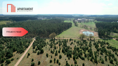 Działka w Szkocji Głusza Las Rzeka - Szkocja  -
Kujawsko-Pomorskie Zdjęcie nr 11