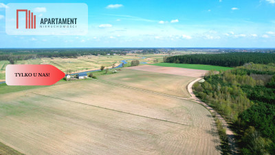 Działka w Szkocji Głusza Las Rzeka - Szkocja  -
Kujawsko-Pomorskie Zdjęcie nr 14