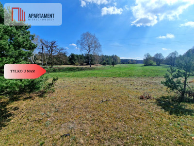 Działka w Szkocji Głusza Las Rzeka - Szkocja  -
Kujawsko-Pomorskie Zdjęcie nr 4