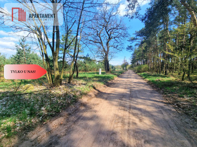 Działka w Szkocji Głusza Las Rzeka - Szkocja  -
Kujawsko-Pomorskie Zdjęcie nr 8