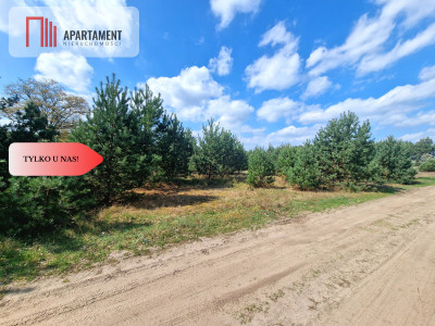 Działka w Szkocji Głusza Las Rzeka - Szkocja  -
Kujawsko-Pomorskie Zdjęcie nr 9