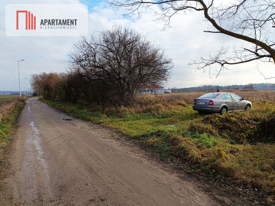 Atrakcejna działka ze STUDIUM bez MPZP - Brzezina  -
Dolnośląskie Zdjęcie nr 3