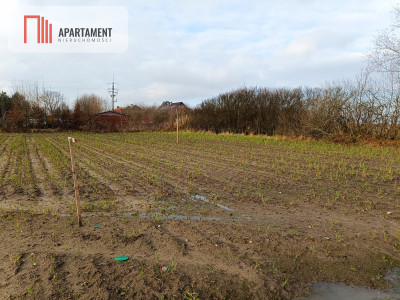 Atrakcejna działka ze STUDIUM bez MPZP - Brzezina  -
Dolnośląskie Zdjęcie nr 4