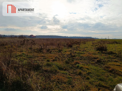 Atrakcejna działka ze STUDIUM bez MPZP - Brzezina  -
Dolnośląskie Zdjęcie nr 5