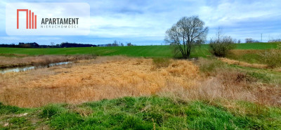 Działki inwestycyjne budowlane - Rgielsko  -
Wielkopolskie Zdjęcie nr 2