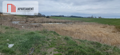 Działki inwestycyjne budowlane - Rgielsko  -
Wielkopolskie Zdjęcie nr 3