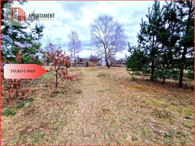 Działka budowlana z drewnianym domkiemTylko u nas - Śliwiczki  -
Kujawsko-Pomorskie Zdjęcie nr 5