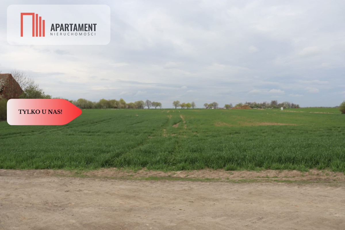 Duża działka 115 ha z zabudowaniami - Wilków Średzki  -
Dolnośląskie Zdjęcie nr 1