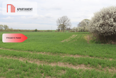 Działka rolna 095 haWilków ŚredzkiDobry dojazd - Wnorów  -
Dolnośląskie Zdjęcie nr 2