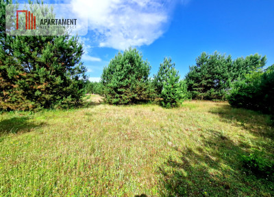 Wymarzone miejsce na  Twój dom w otulinie sosen - Rytel  -
Pomorskie Zdjęcie nr 3