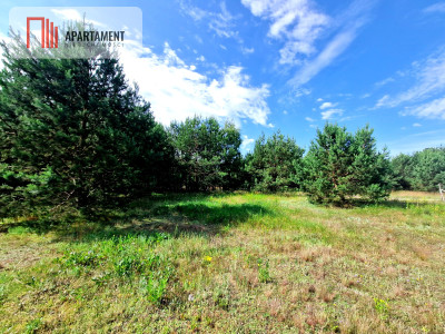 Wymarzone miejsce na  Twój dom w otulinie sosen - Rytel  -
Pomorskie Zdjęcie nr 4