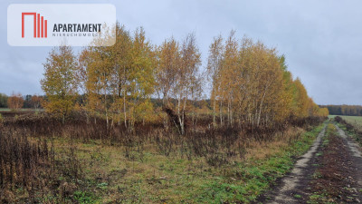 Działka z warunkami zabudowy - Żołędowo  -
Kujawsko-Pomorskie Zdjęcie nr 2