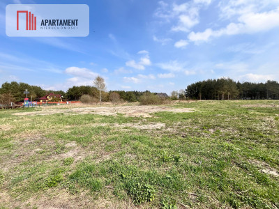 Działki Zabagno blisko autostradyA1 do negocjacji - Zabagno  -
Pomorskie Zdjęcie nr 7